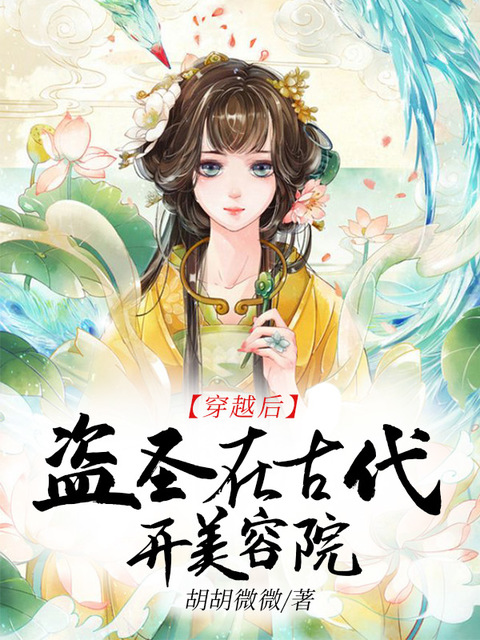 穿越后盗圣在古代开美容院