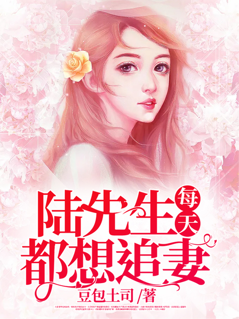 陆先生每天都想追妻