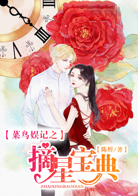 菜鸟娱记之摘星宝典