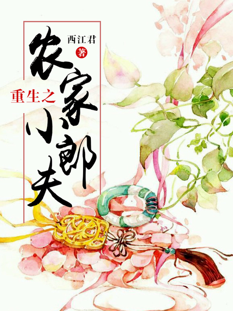 重生之农家小郎夫
