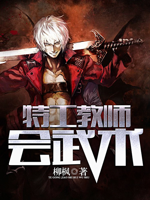 特工教师会武术