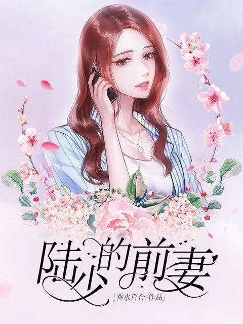 陆少的前妻