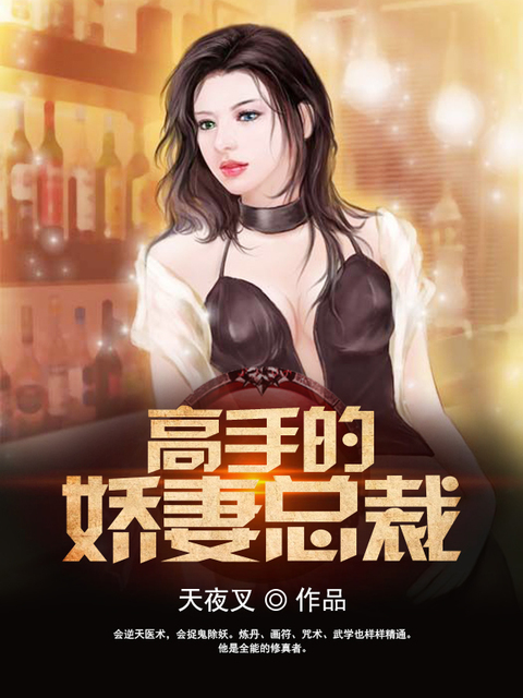 高手的娇妻总裁