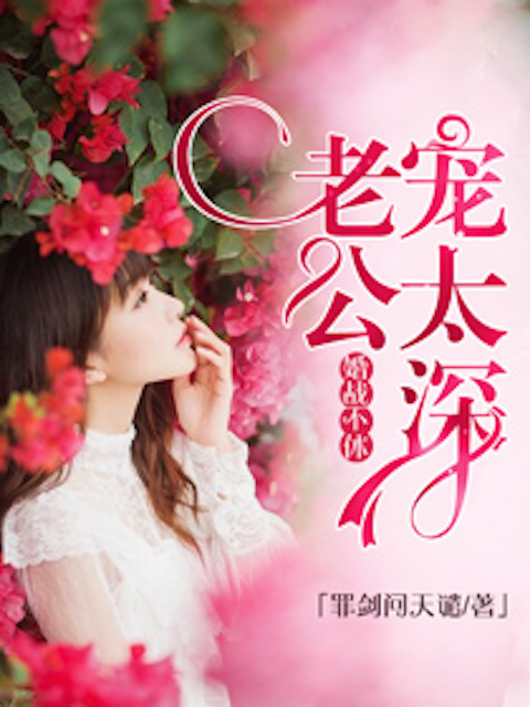 婚战不休：老公宠太深