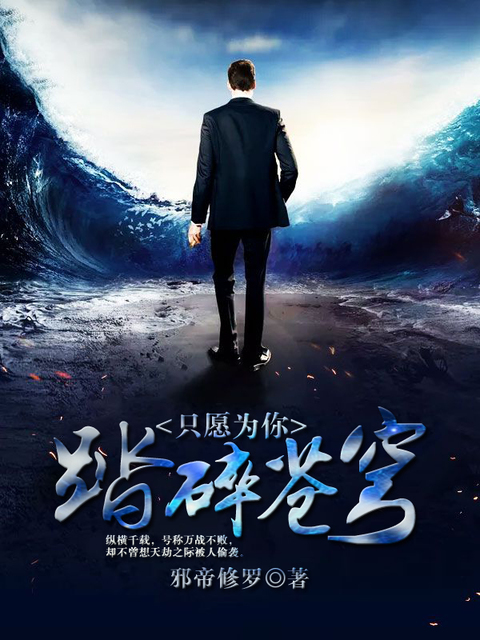 只愿为你踏碎苍穹