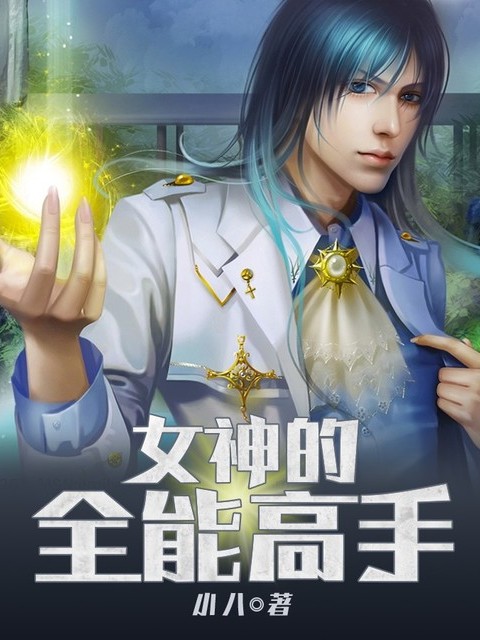 女神的全能高手