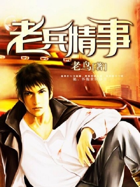 老兵情事