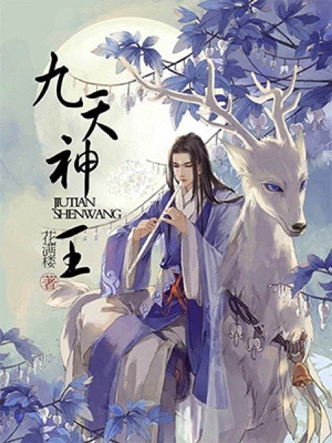 九天神王