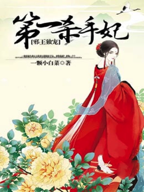 邪王宠妃：第一杀手妃