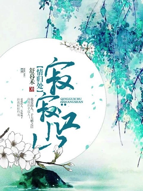 寂寂江山情归处