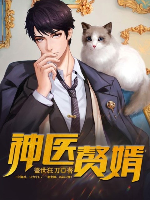神医赘婿