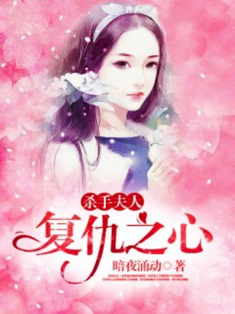 杀手夫人：复仇之心