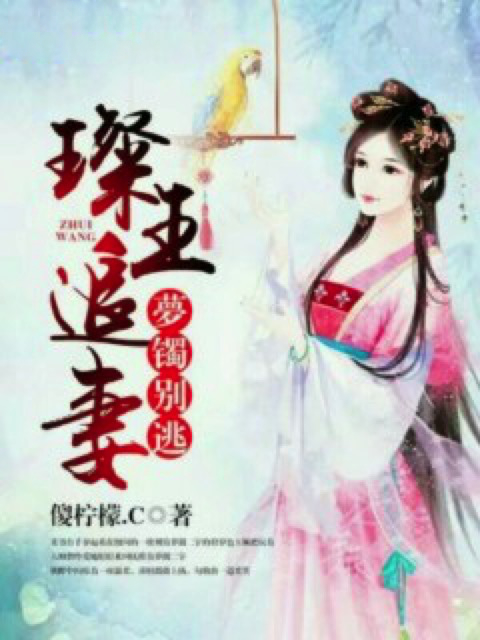 璨王追妻：夢镯别逃