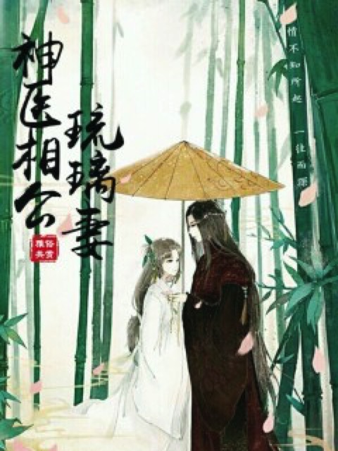 神医相公琉璃妻