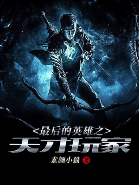 最后的英雄之天才玩家
