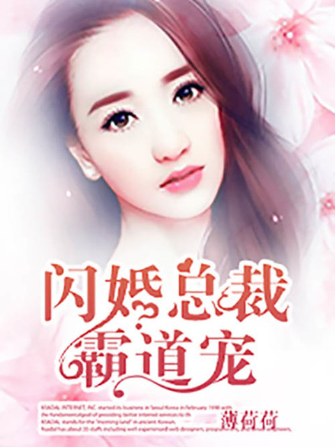 闪婚总裁霸道宠