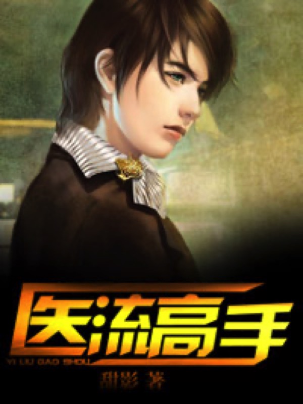 医流高手