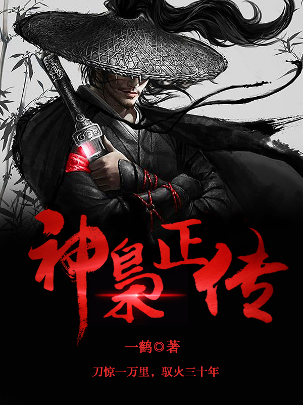 神枭正传
