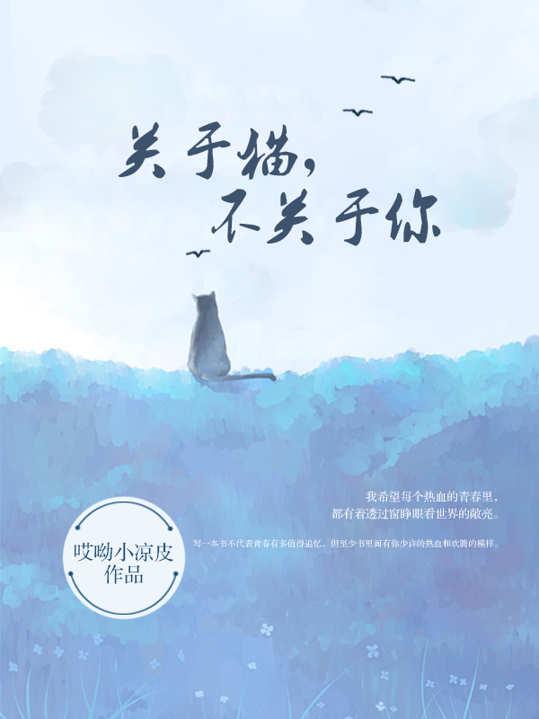 关于猫，不关于你