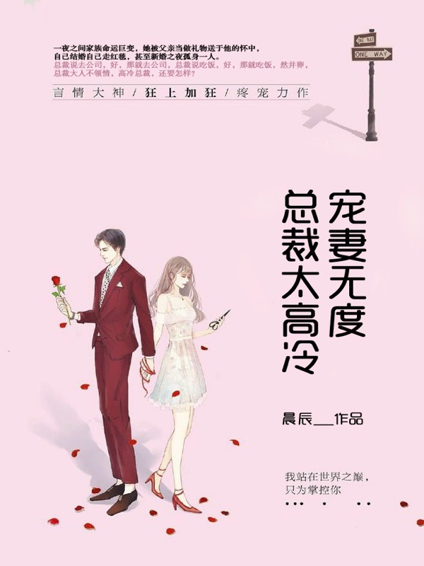 宠妻无度，总裁太高冷