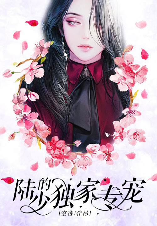 陆少的独家专宠