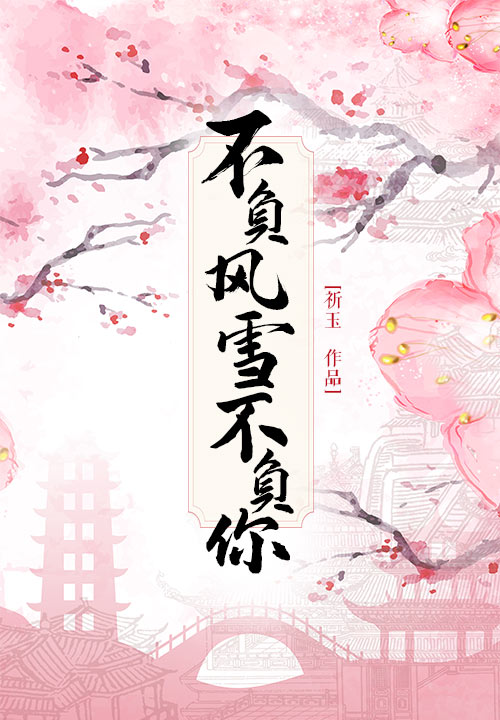 不负风雪不负你