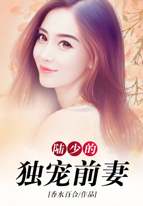 陆少的独宠前妻