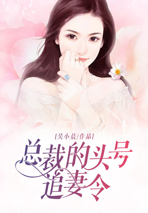 总裁的头号追妻令