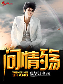 问情殇