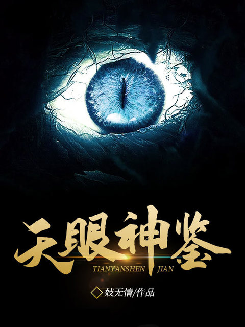 天眼神鉴